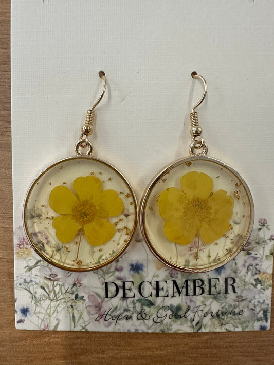 Narcissus & Holly dried flower Earings